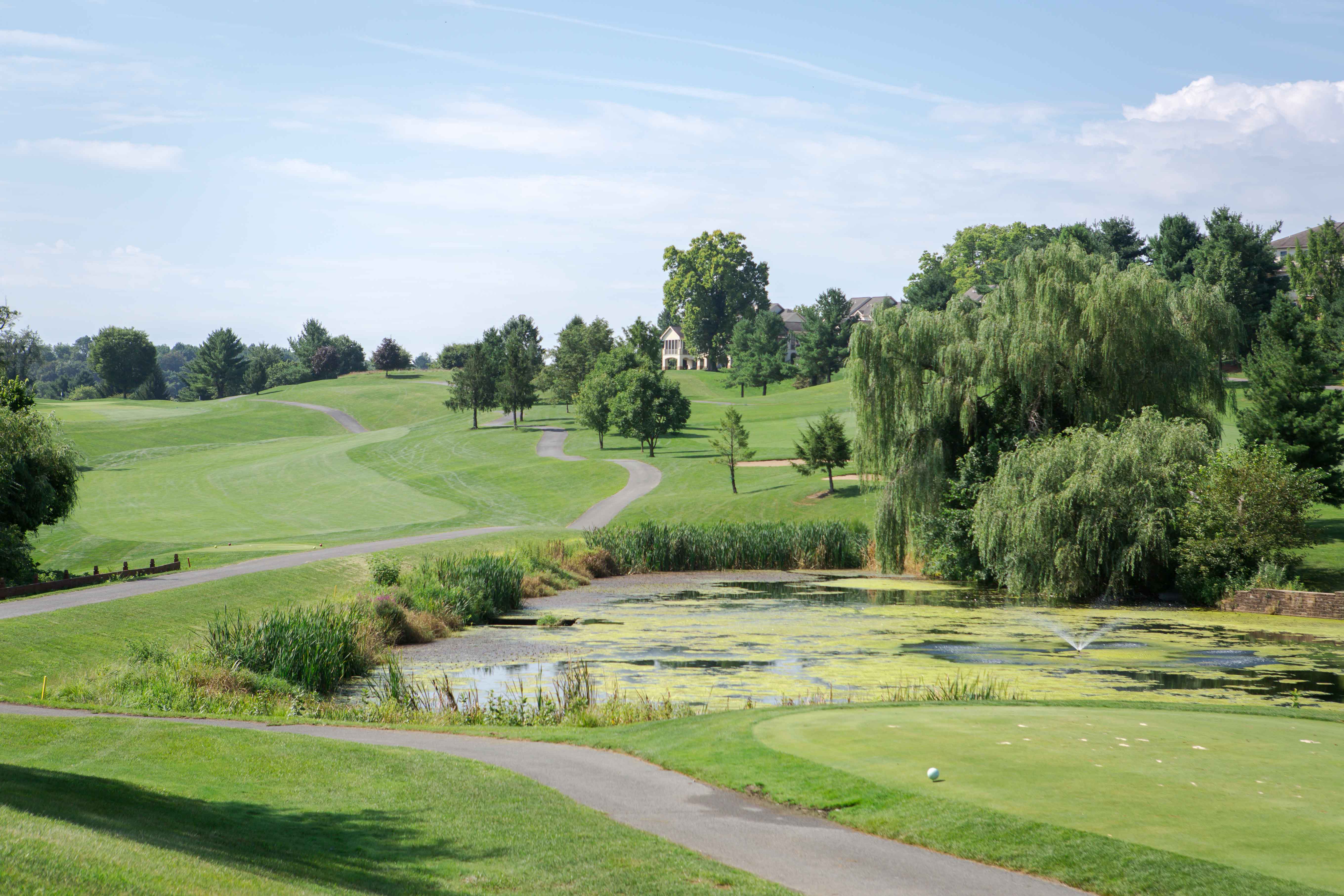 SBP_7259 Manor Township