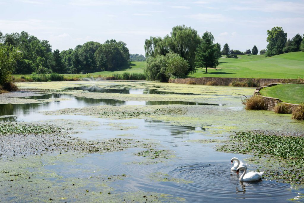 SBP_7270 Manor Township